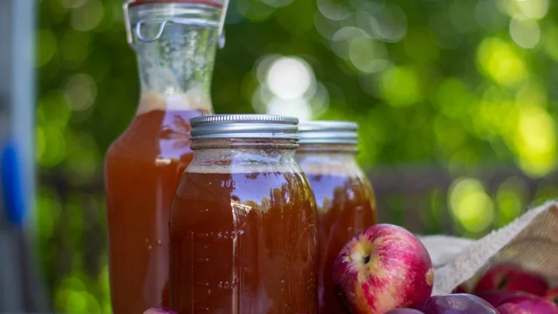 Dolina Czerska Sok jabłkowy z czarną porzeczką 3l