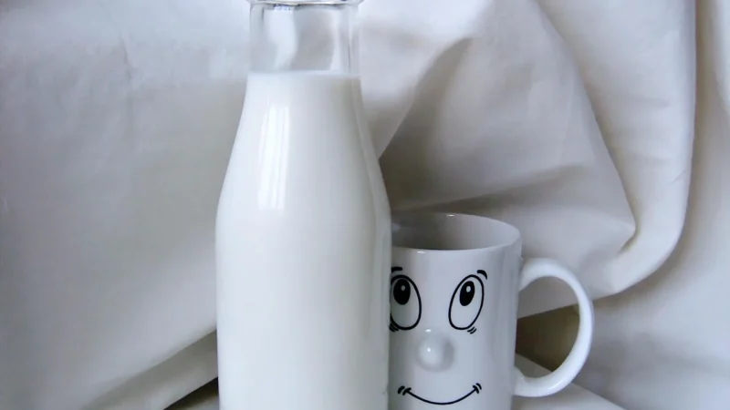 Ecomil Napój z konopi niesłodzony BIO 1L