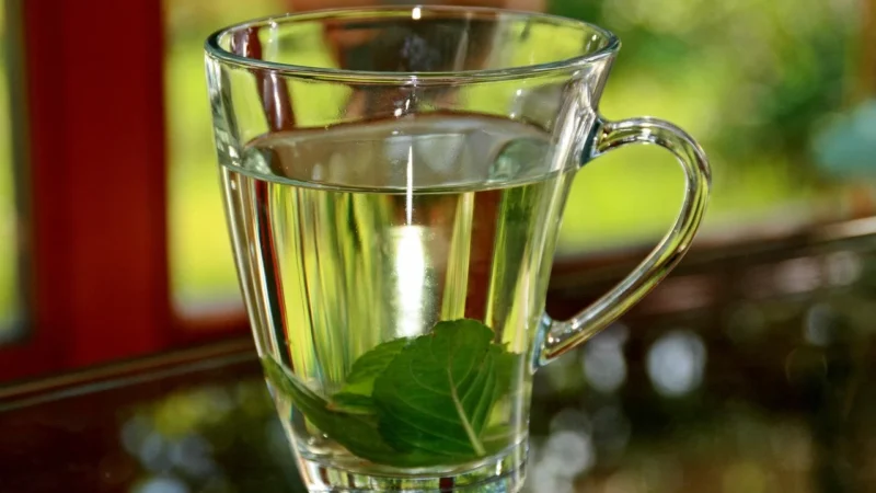 El Fuego Menta Limon 0,5 kg