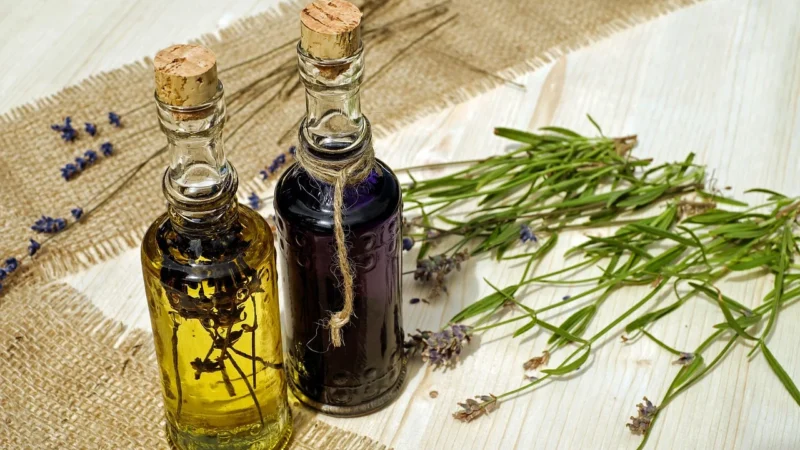 Etja Olej Moringa 50ml
