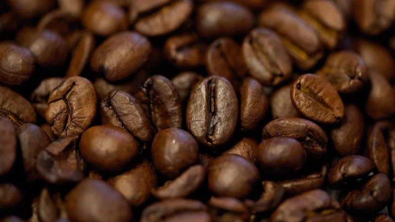 Etno Cafe Kawa Ziarnista Italian Roast 250G