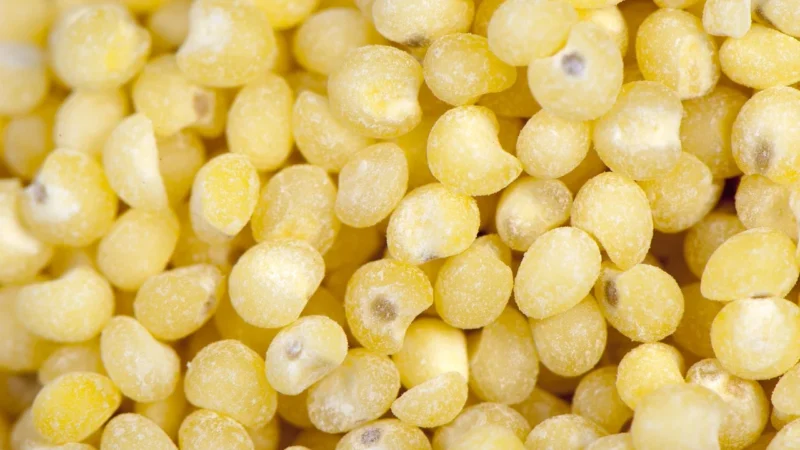 Eureko Kasza Jaglana Bio 400G