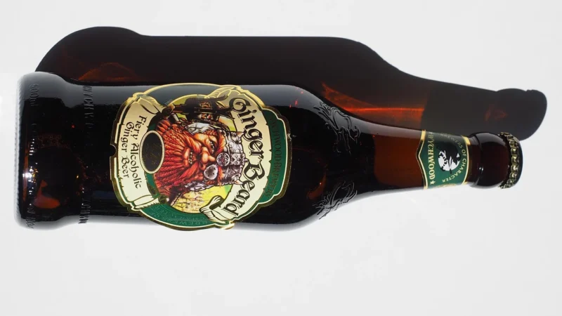FabbriI Zenzero włoski syrop imbirowy 1l