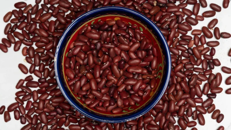 FASOLKA CZERWONA KIDNEY BIO 2,5 kg (1,5 kg) (PUSZKA) – HORECA (LA BIO IDEA)