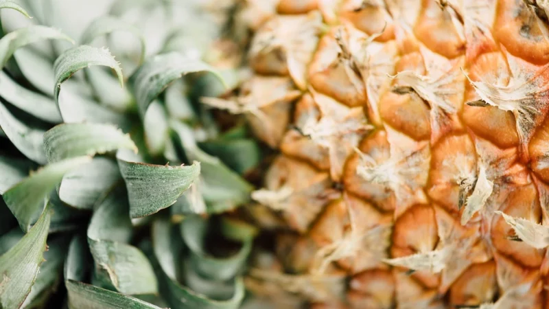 Fitrec Fajna Galaretka Ananas 35g 5 Porcji