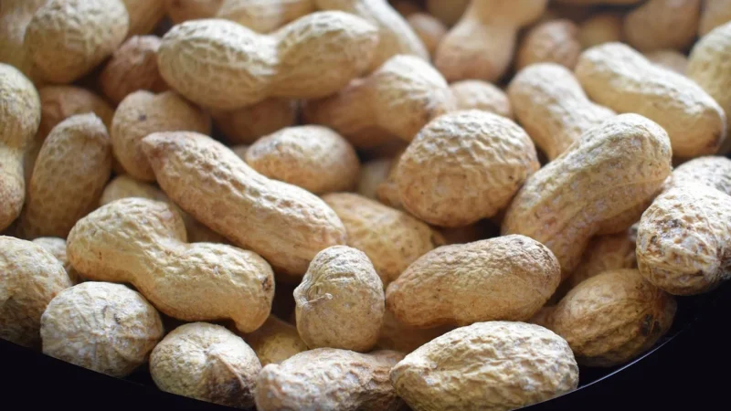 Global Orzechy Ziemne Arachidowe Prażone Solone 1kg