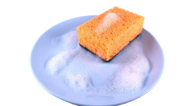 GLUTENEX Biszkopty b/g bez cukru 100g