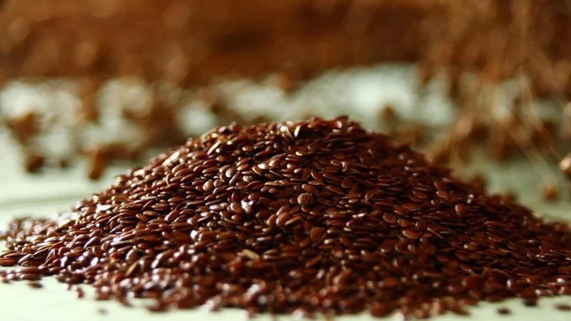 Gorzkoislodko Mąka Lniana Siemię Lniane Brązowe Mielone 500g