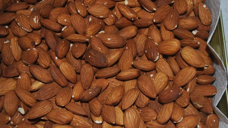 Govinda Prażone Migdały Bio 100g