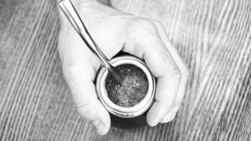 Green Mate Duży Zestaw Próbek Yerba Mate Próbki 5X50g 250g