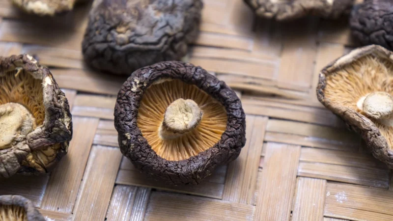 Grzyby shiitake suszone 50g