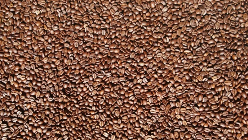 Hard Beans – Polska Parzucha – Kawa ziarnista 1kg