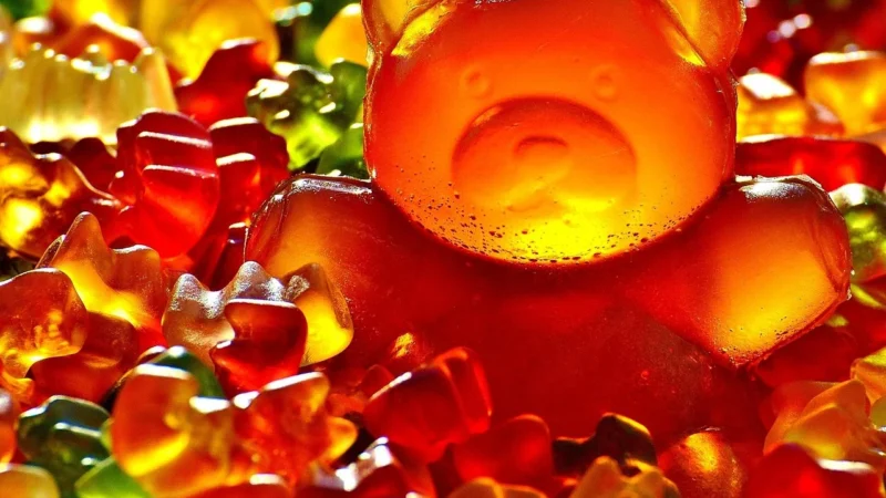 Haribo Minis Żelki Misie 10g opakowanie 100szt
