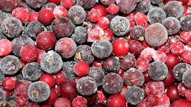 Herbapol Herbatka Żurawina Z Porzeczką Fix 24X3G