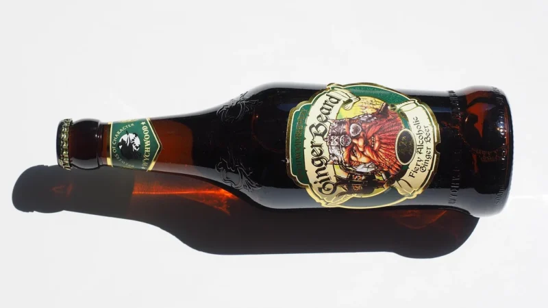 Herbapol kraków syrop imbirowy 485 ml