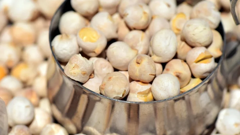 Horeca Ciecierzyca Bio 5 Kg
