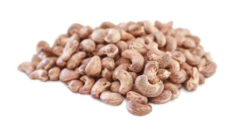 Horeca Orzechy Nerkowca Bio (22,68 Kg) 8