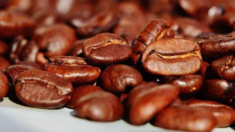 Illy Classico – Classic Roast – Kawa Mielona