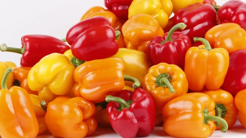 Incatne Papryka Ostra 500g Asta Aromatyczna