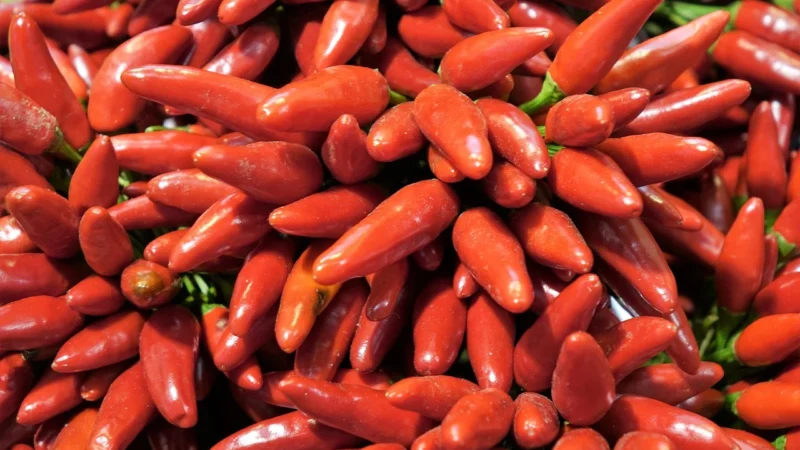 Incatne Papryka Słodka Wędzona 50g Aromatyczna