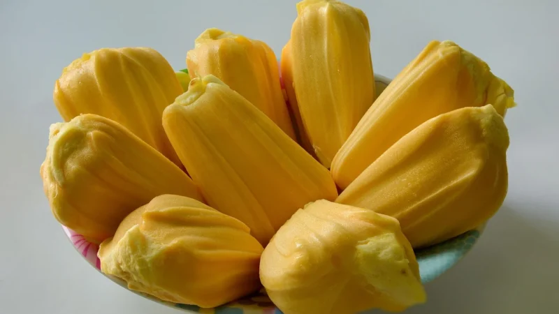 jackfruit – Delikatesy