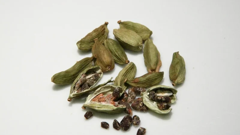 KARDAMON OWOCE BIO 500 g – HORECA (DARY NATURY)