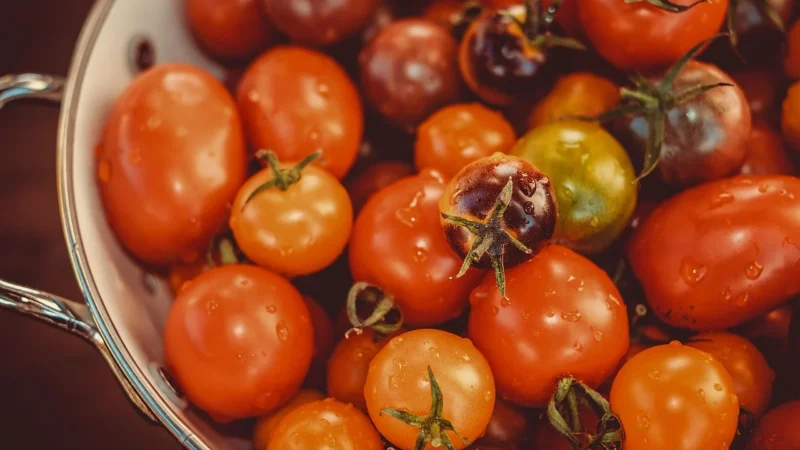 Kasza Gryczana biała Niepalona świeża 500g Polska