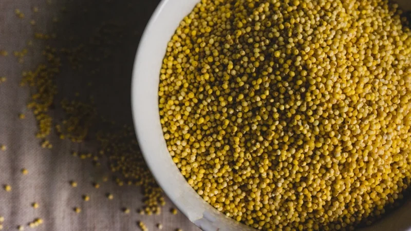 Kasza Jaglana Bio 500 g