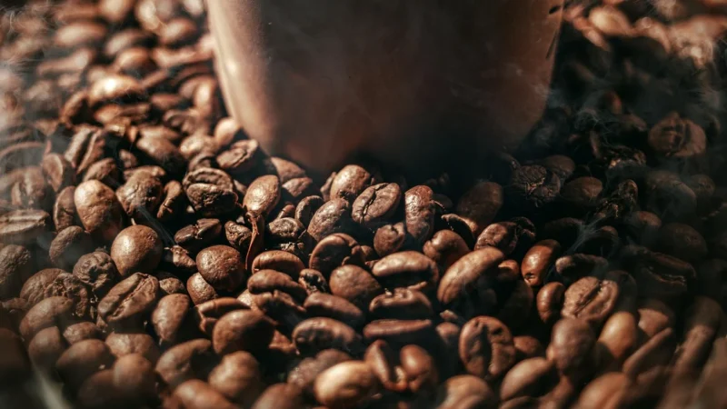 Kawa Świeżo Palona Salvador 250g Broda Coffee