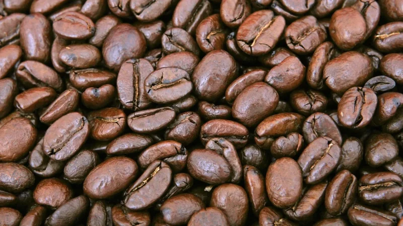 Kawa ziarnista COFFEE PLANT Sweet Brazil Shot 250g
