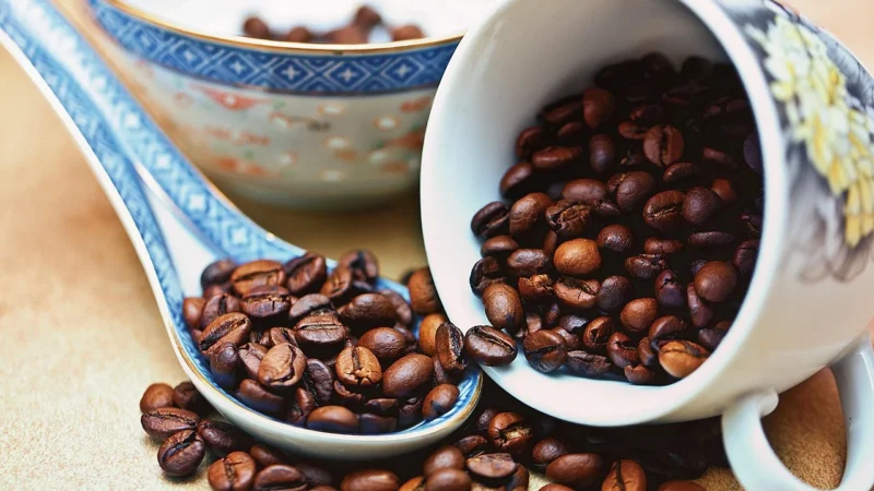 Kawa ziarnista Coffeelab Brazylia Geraldo Faria 500g