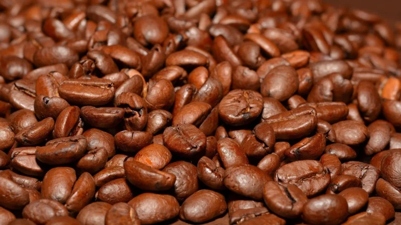 Kawa Zielona Mielona 500g – Odchudzanie – Celulit