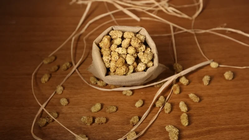 Kolpol Morwa Biała 1kg Bez Pestek Suszona Naturalna