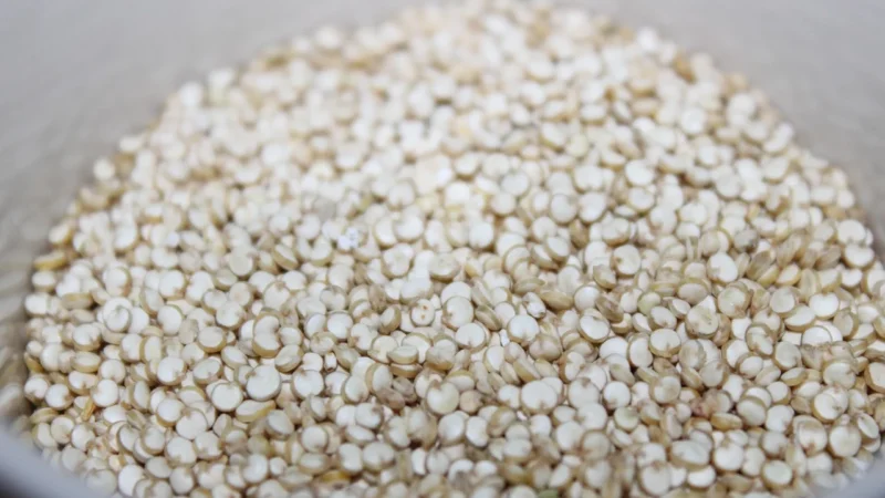 Komosa Ryżowa Biała quinoa naturalna 1kg