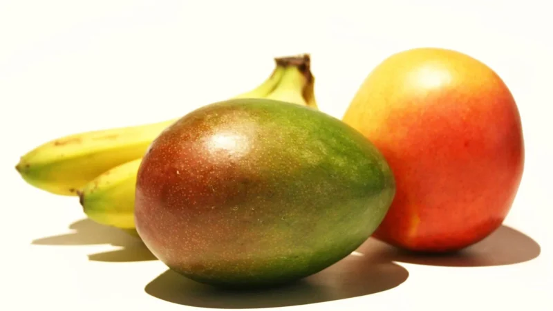 Kubuś Mus Drugie Śniadanie Mus Jabłko Mango Banan