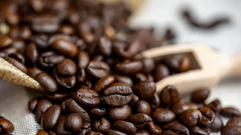 Lancore Coffee Kawa Ziarnista Silver Blend 1 kg