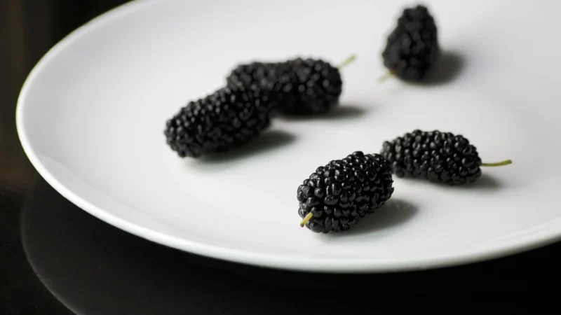 Las Vegan’S Morwa Biała W Czekoladzie Wegańskiej Bio, 80g