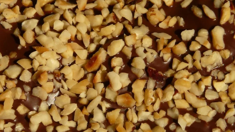 Las Vegan’S Orzech Laskowy W Czekoladzie Wegańskiej Bio, 80g
