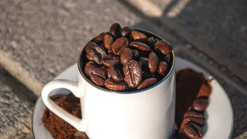 Lebensbaum Kawa Rozpuszczalna Liofilizowana Robusta Espresso 100 % Bio g