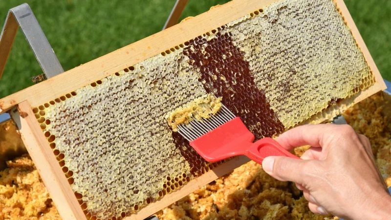 Lumarko Miód Nektarowy Wielokwiatowy Bio 300 G!