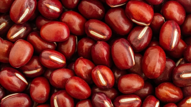 Magia Kuchni Fasola Adzuki 500g