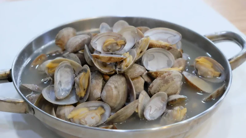 Mąka Orkiszowa Graham 1850 Ekologiczna 1kg MŁYN KOPYTOWA