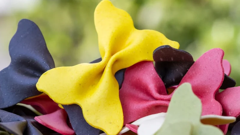 Makaron semolinowy Farfalle Bio 500G