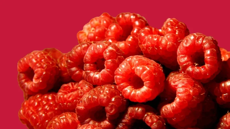 Malinowy Bartnik Zestaw Miodów Wielokwiatowy I Leśny 2kg