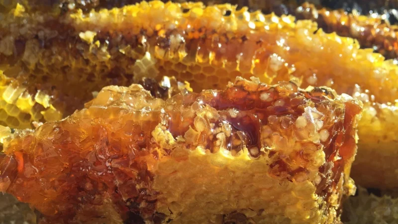 MIÓD NATURALNY RÓZNE RODZAJE 1,1KG PASIEKA POD AKACJAMI