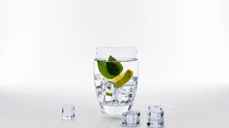 Monin MROŻONA MIĘTA Frosted Mint