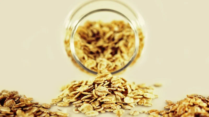 MUSZTARDA ZIARNISTA BIO 200 g – MUSZTARDA KCYŃSKA