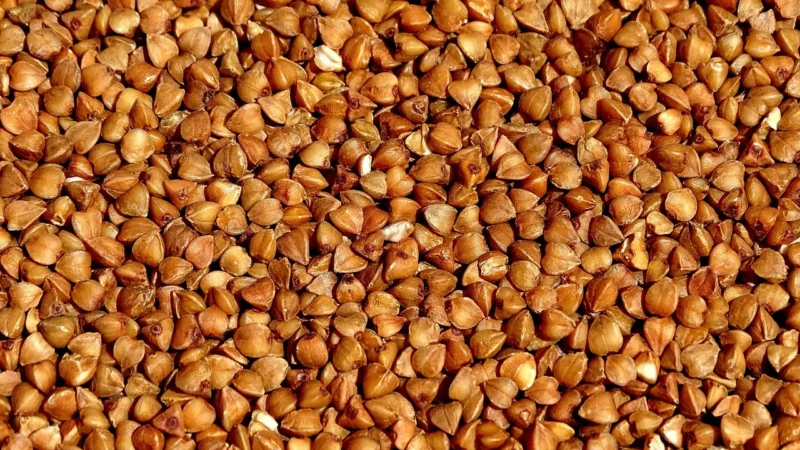 Natura Wita Gryka Łuska Mielona Eko 250G