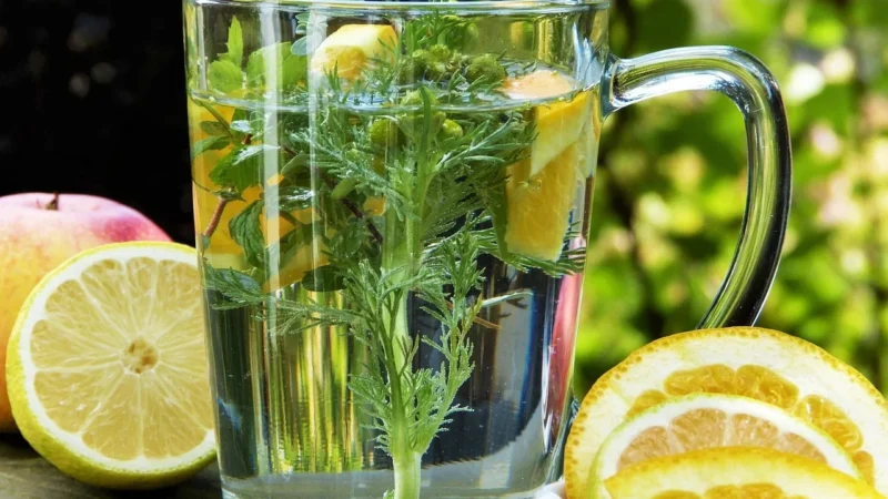 Natura Wita Herbata Ziołowo Owocowa Morwofit 60G