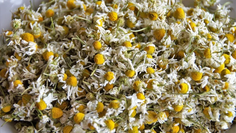 Natura Wita Rumianek Koszyczek Premium 150G